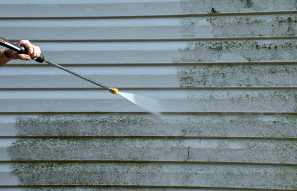Best Driveway Pressure Washing  in Chester, CA